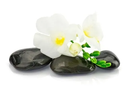 24 CE FL LMT Renewal Home Study Package: Hot Stone Massage Workshop with Medical Massage Training Elective