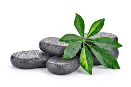 24 CE FL LMT Renewal Home Study Package: Hot Stone Massage Workshop with Medical Massage Training Elective