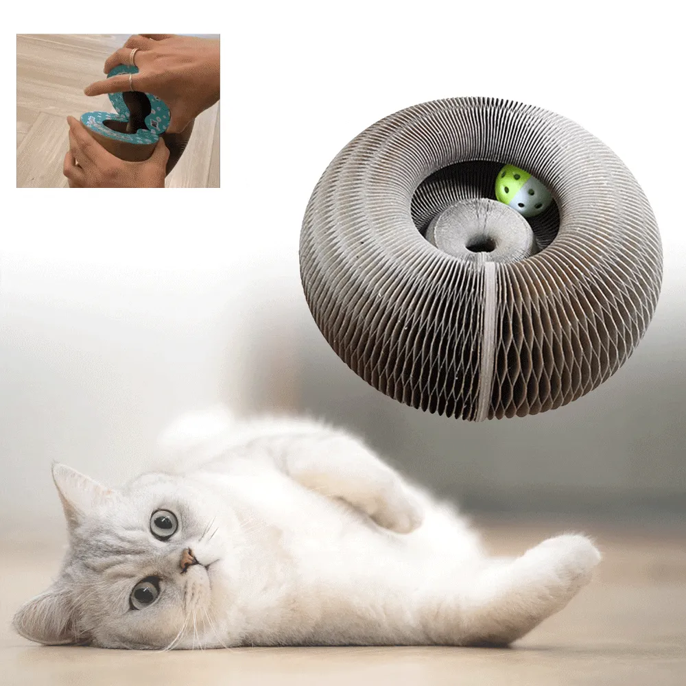 Magic Organ 2-in-1 Cat Scratcher