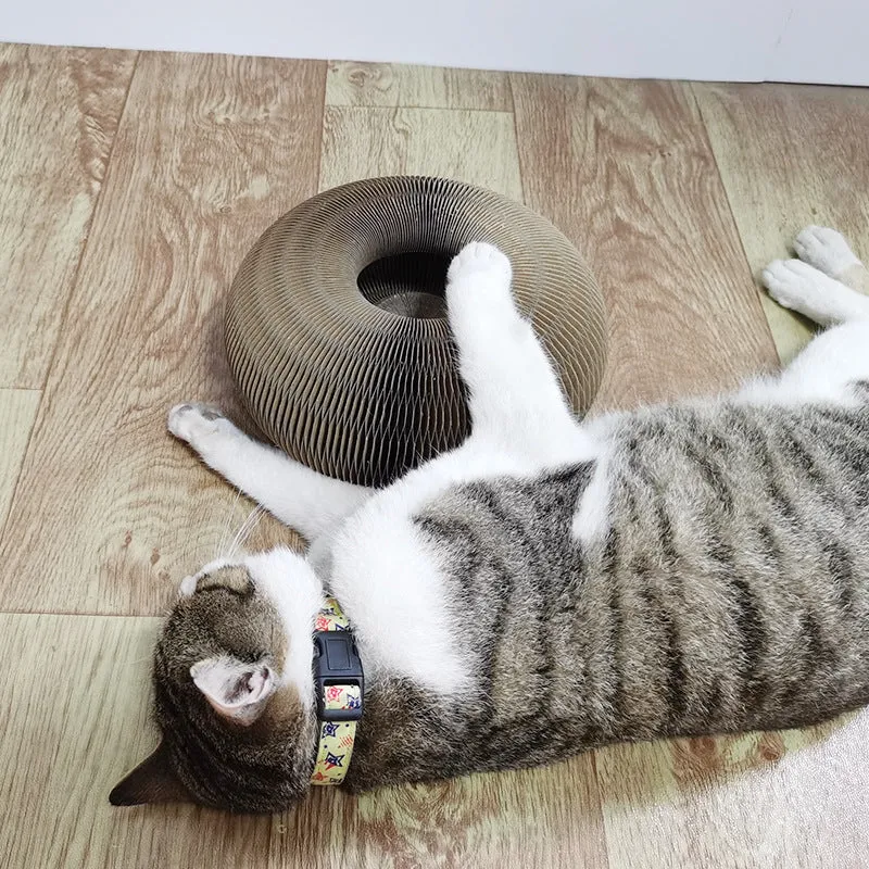 Magic Organ 2-in-1 Cat Scratcher