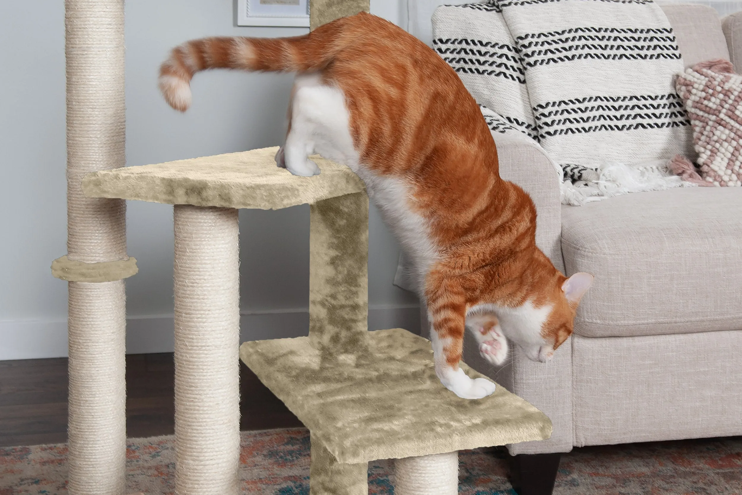 Play Stairs with Cat-IQ Busy Box